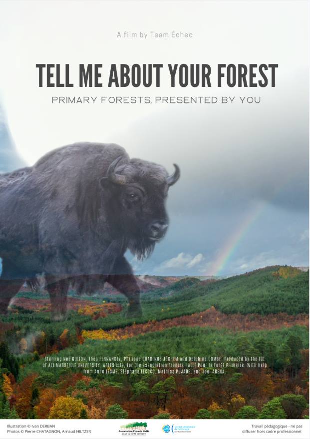 Affiche Forêt primaire